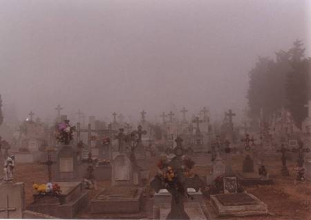 con permiso del enterrador...